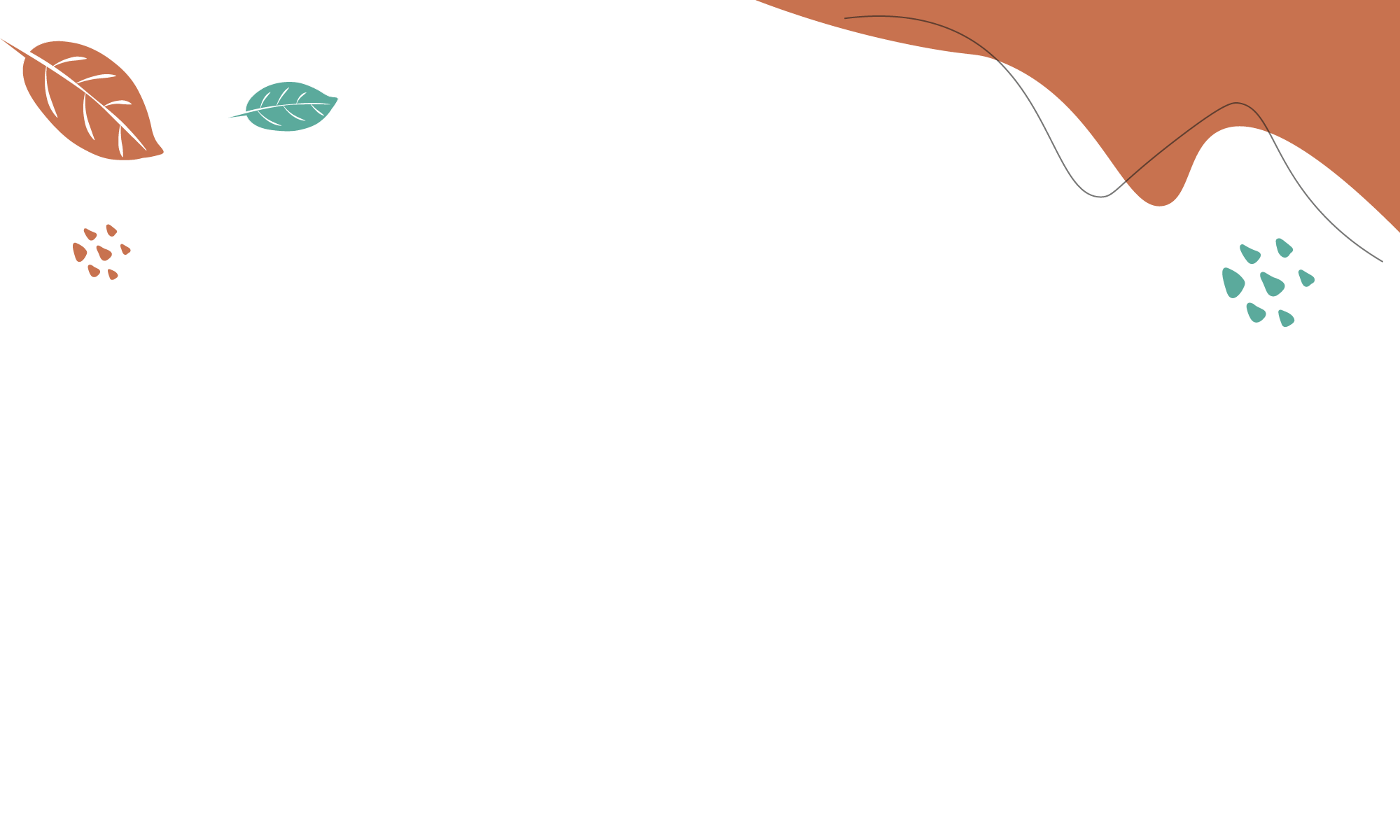 Illustration entête