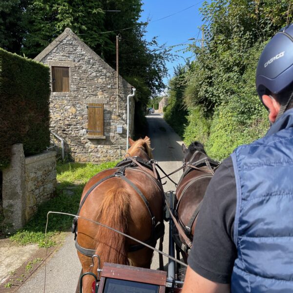 Attelage